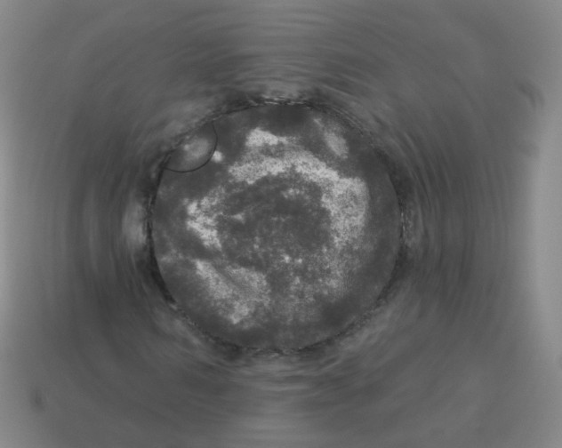 X0000113550962200910161430