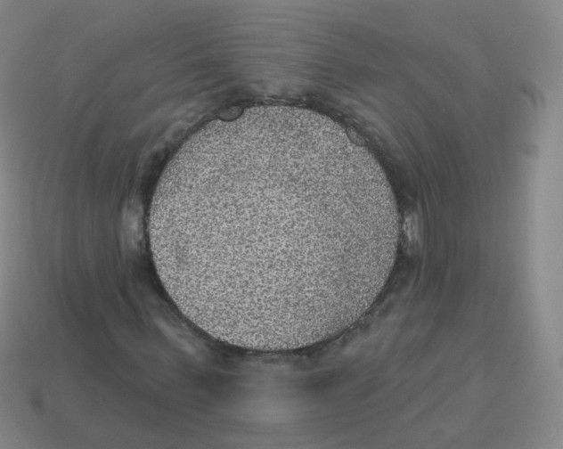 X0000113550963200910161430