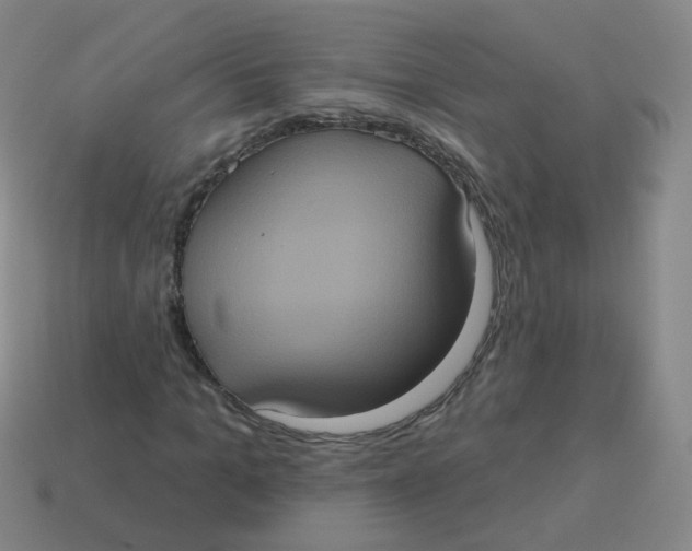 X0000113550965200910161430