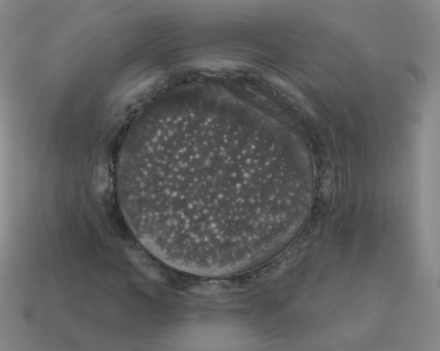 X0000113550966200910161430