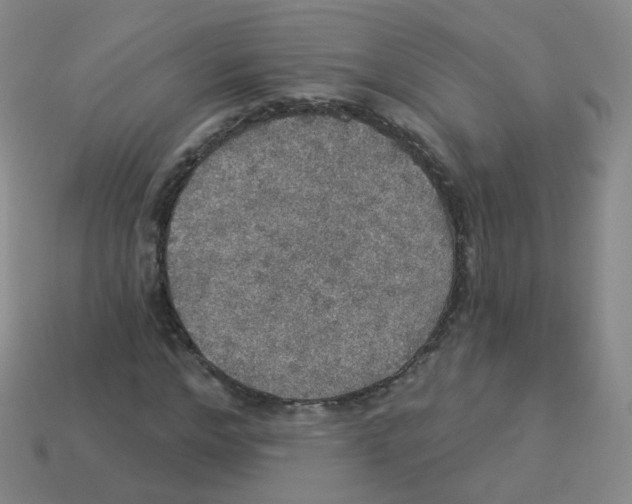 X0000113550968200910161430