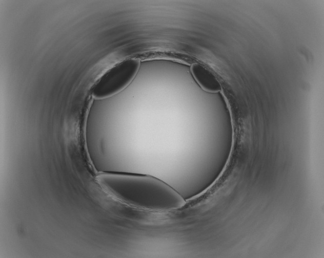 X0000113550969200910161430