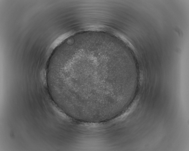 X0000113550970200910161430