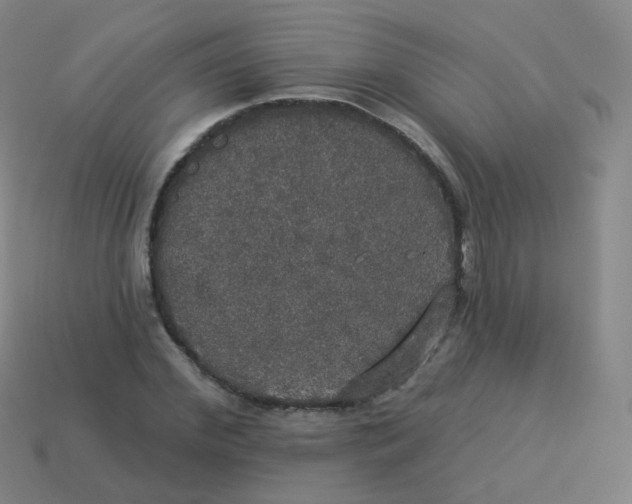 X0000113550972200910161430