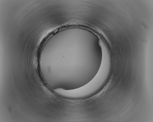 X0000113550973200910161430