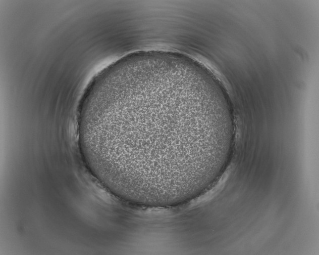 X0000113550974200910161430