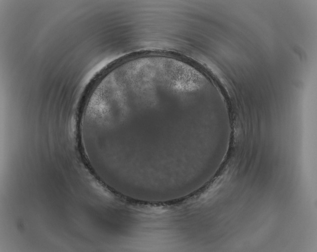 X0000113550975200910161430