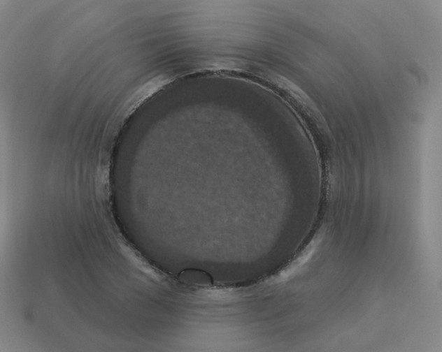 X0000113550977200910161430