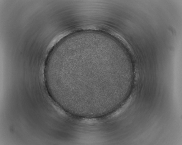 X0000113550978200910161430