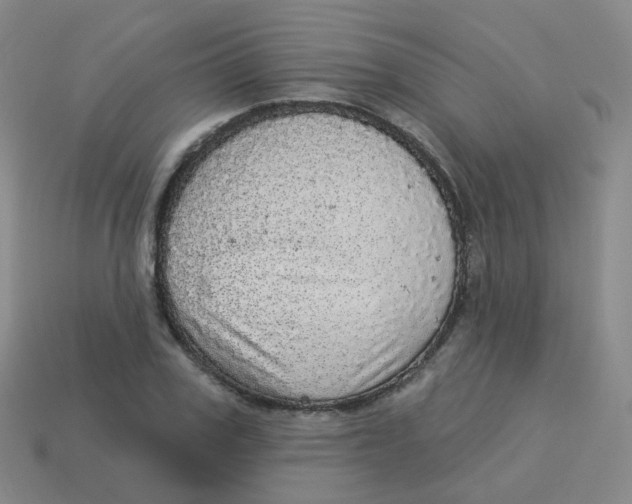 X0000113550979200910161430