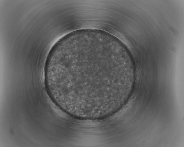 X0000113550980200910161430
