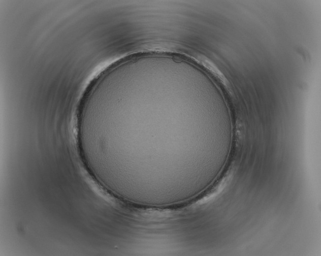 X0000113550981200910161430