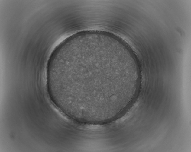 X0000113550982200910161430