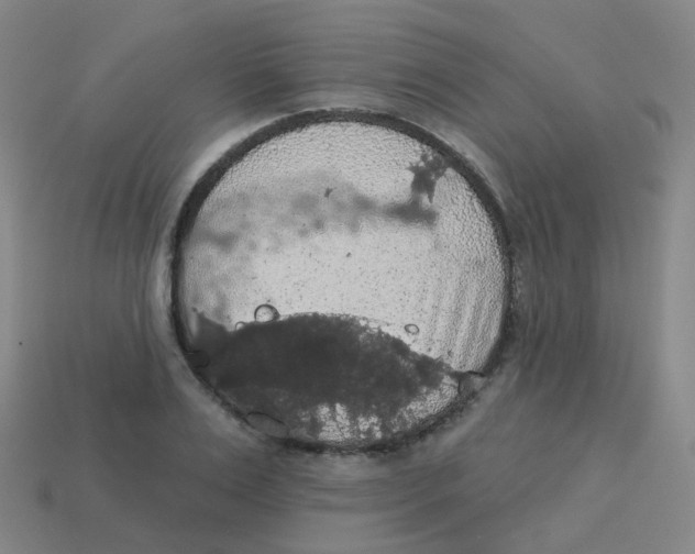 X0000113550983200910161430