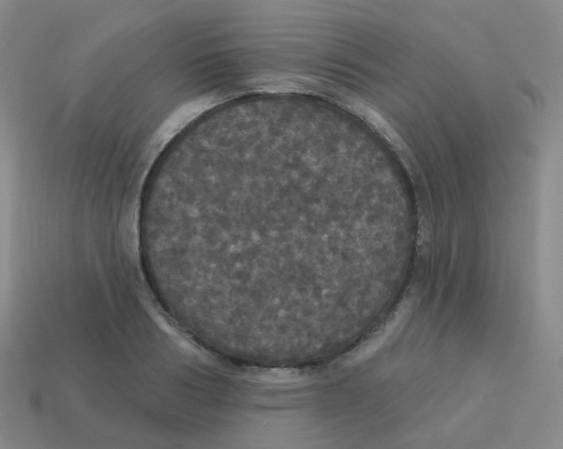 X0000113550986200910161430