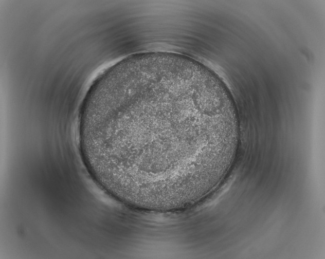 X0000113550987200910161430
