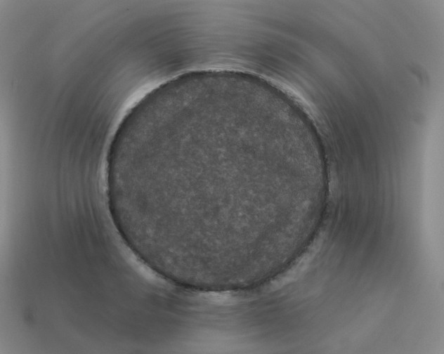 X0000113550990200910161430