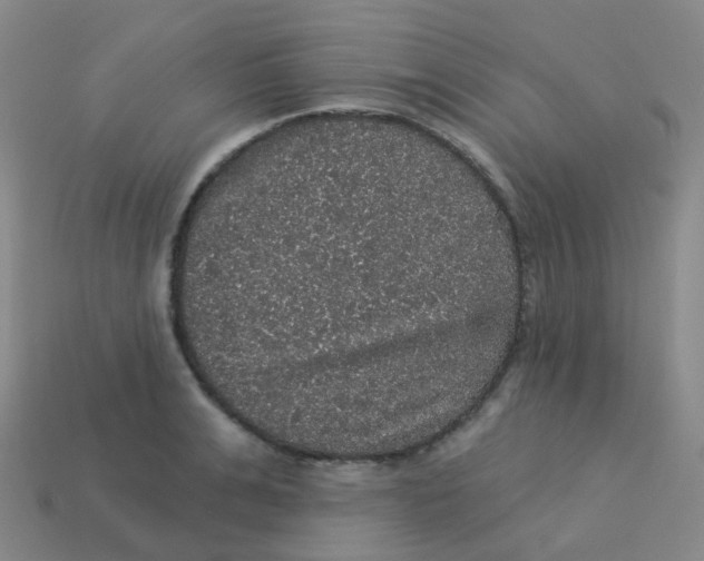 X0000113550991200910161430