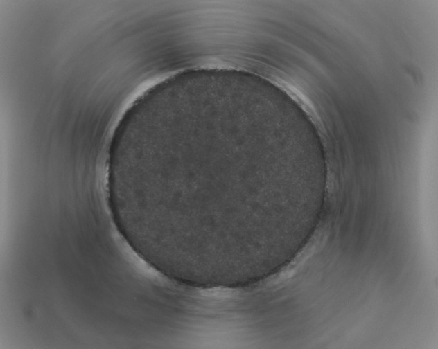 X0000113550992200910161430