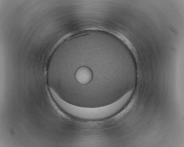 X0000113550993200910161430