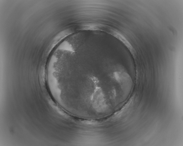 X0000113550994200910161430