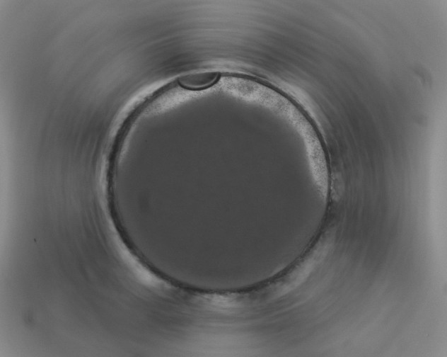 X0000113550995200910161430