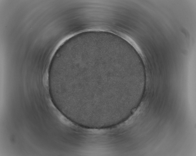 X0000113550996200910161430