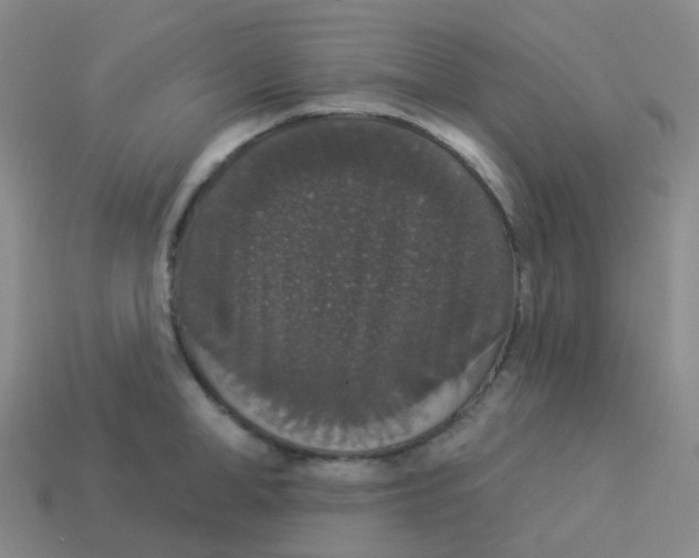 X0000113550998200910161430