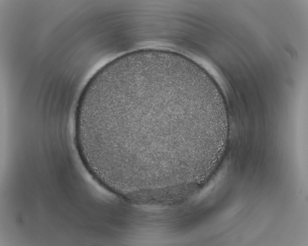 X0000113550999200910161430