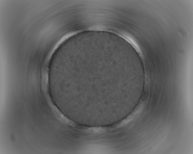X0000113551000200910161430