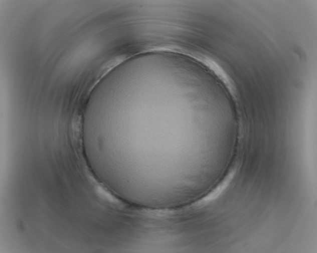 X0000113551001200910161430