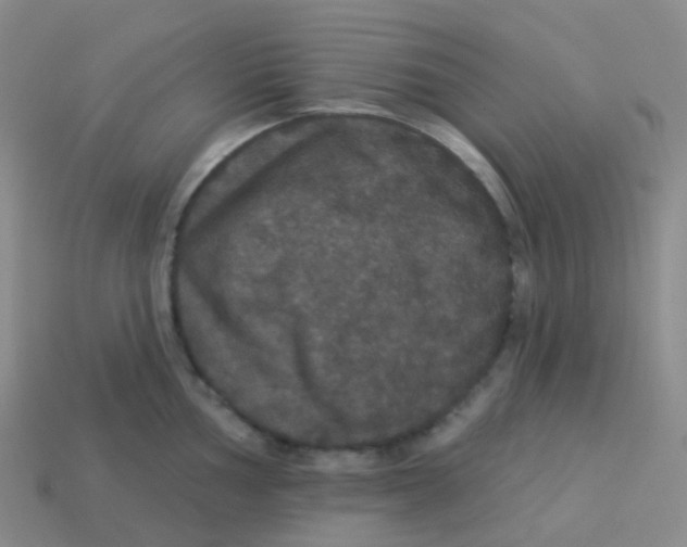 X0000113551002200910161430