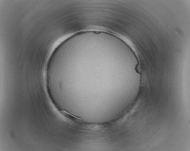 X0000113551003200910161430