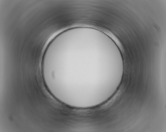 X0000113551004200910161430