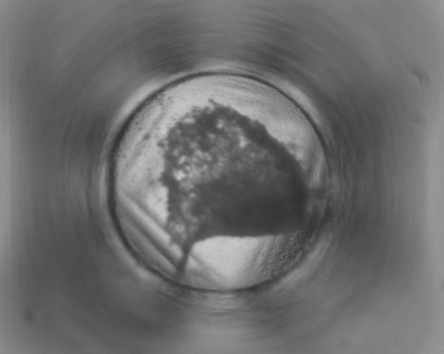 X0000113551007200910161430