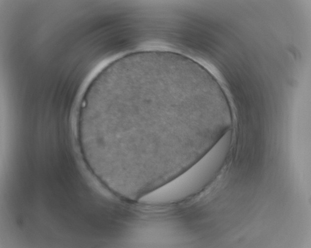 X0000113551008200910161430