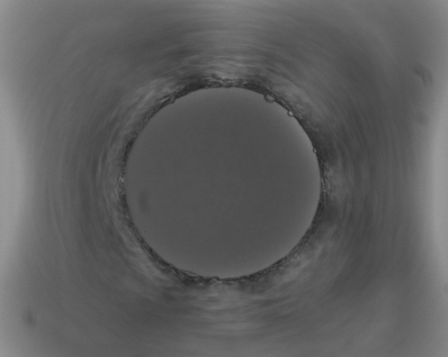 X0000113551009200910161429