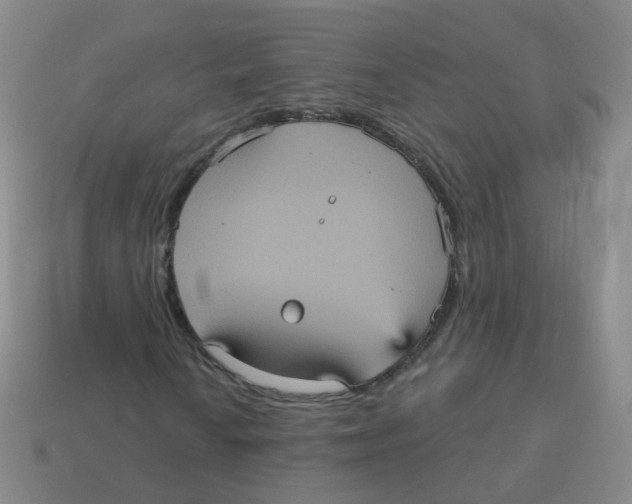 X0000113551010200910161429