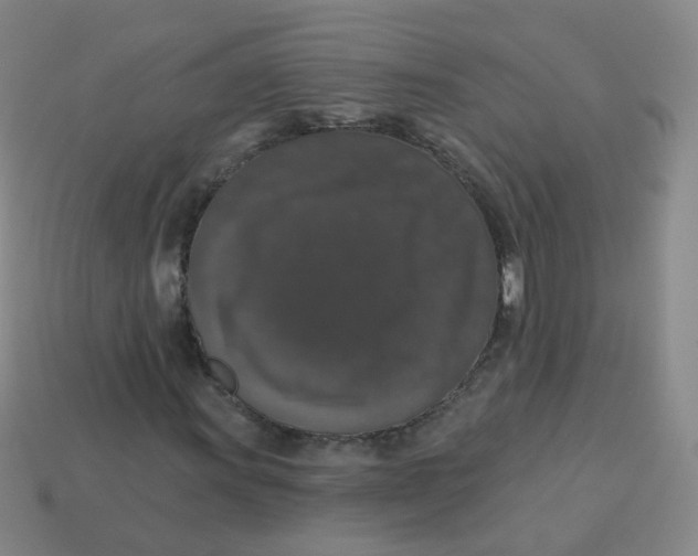 X0000113551011200910161429