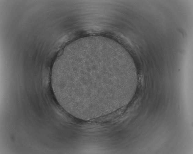 X0000113551012200910161429