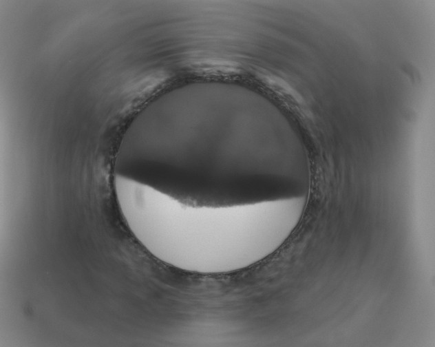 X0000113551013200910161429