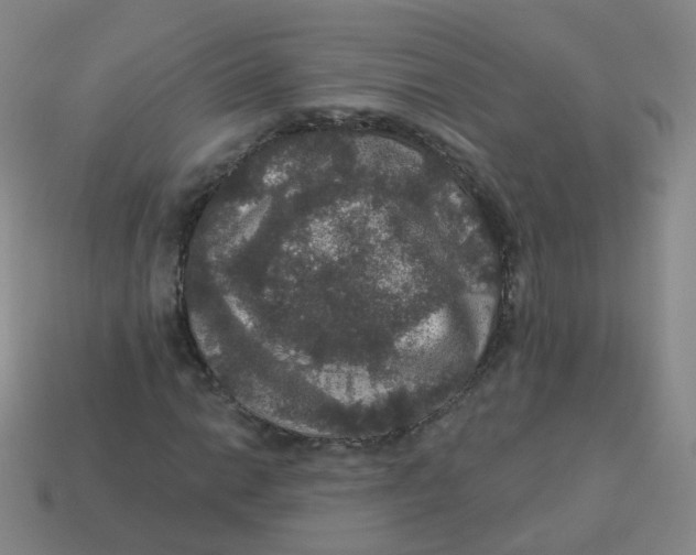 X0000113551014200910161429