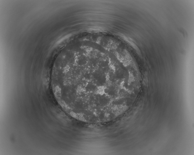 X0000113551015200910161429