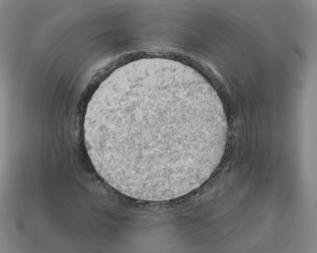 X0000113551016200910161429