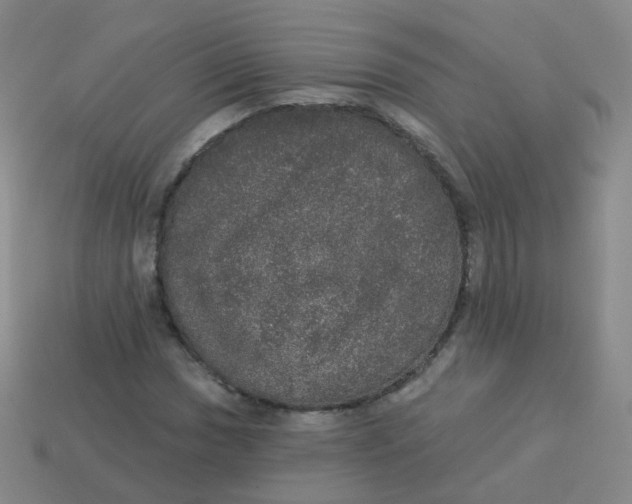 X0000113551017200910161429