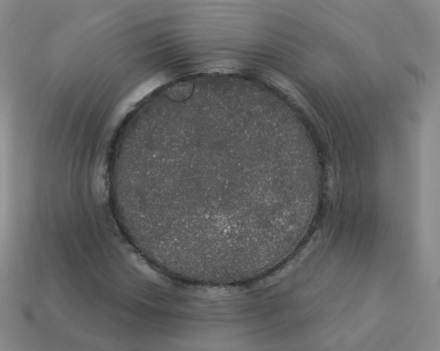 X0000113551018200910161429