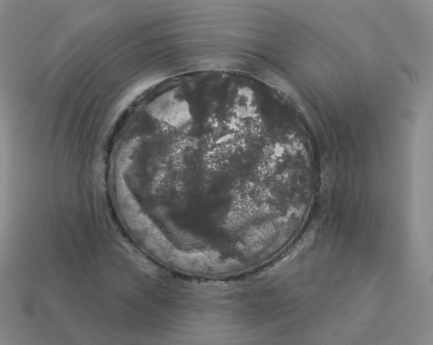 X0000113551019200910161429
