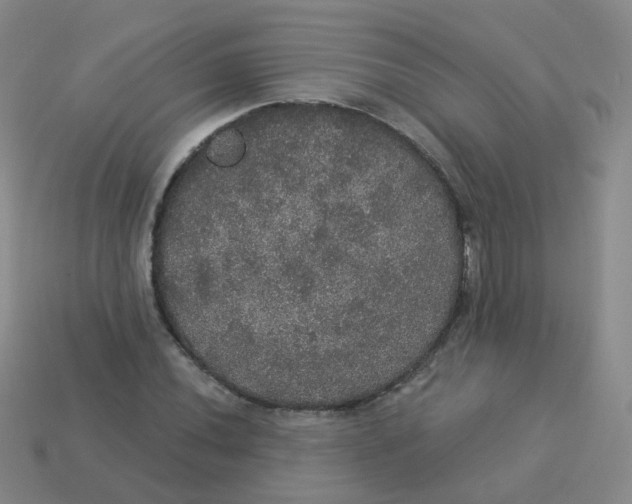 X0000113551020200910161429