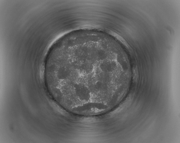 X0000113551021200910161429