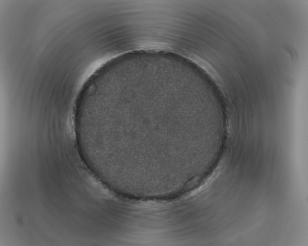 X0000113551022200910161429